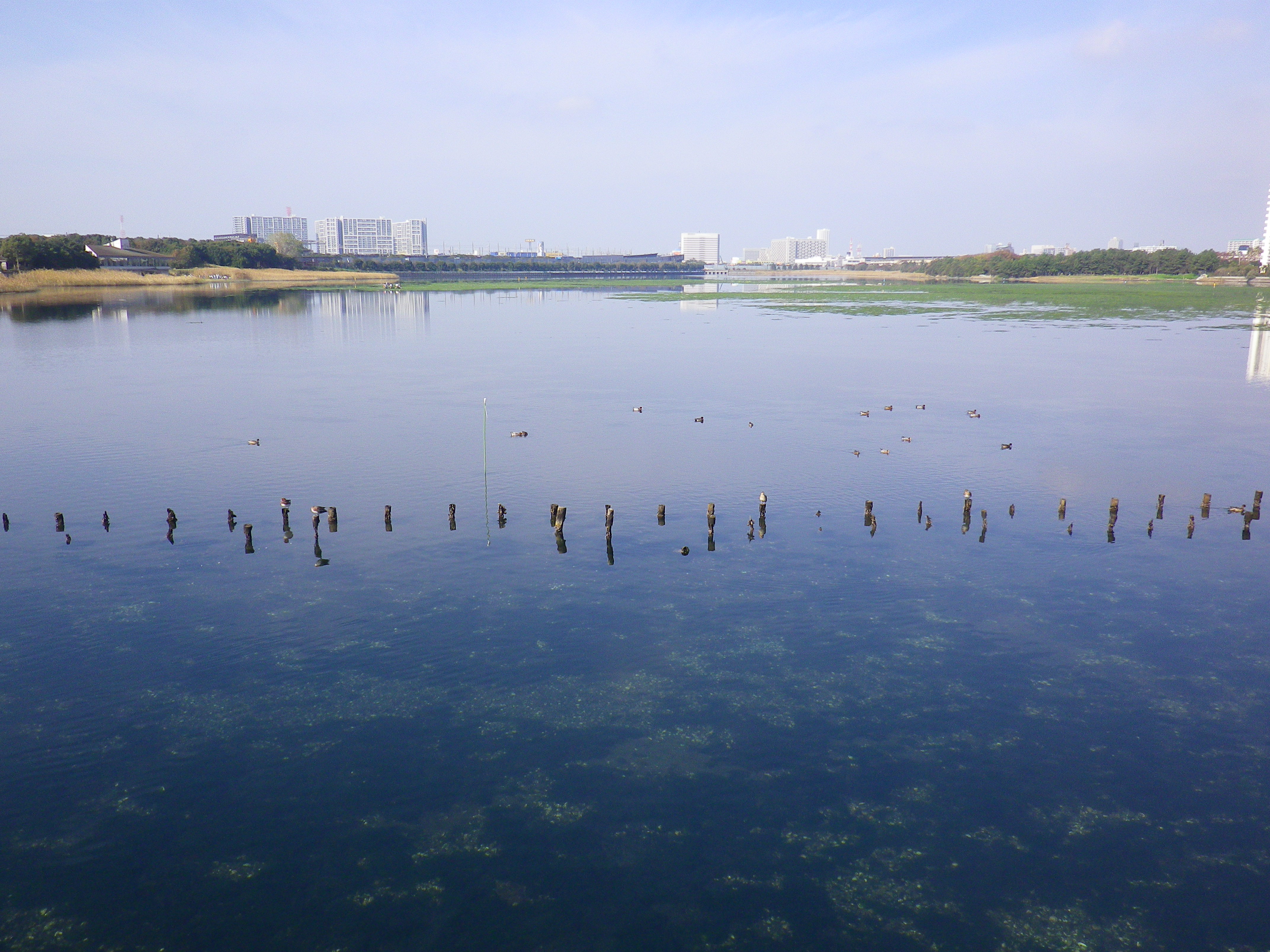 �����񍐎ʐ^